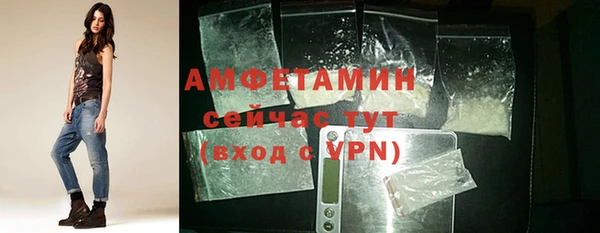 соль ск Богородицк