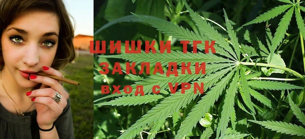 соль ск Богородицк