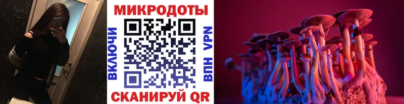 shop какой сайт  Старица  Галлюциногенные грибы мицелий 